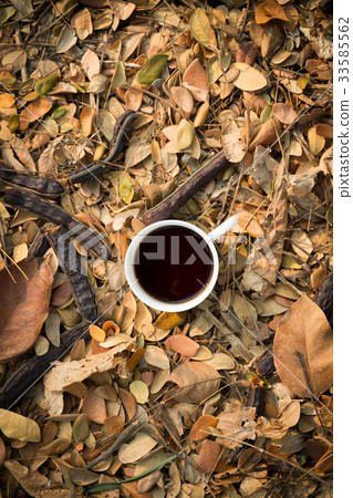 a cup of coffee on dry leaves 33585562