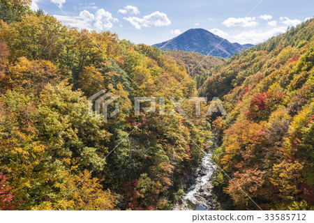 Nakatsugawa Valley in autumn 33585712