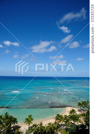夏威夷 瓦胡島 美國芝加哥 33585729