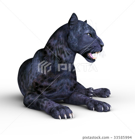 Black leopard Black leopard 33585994