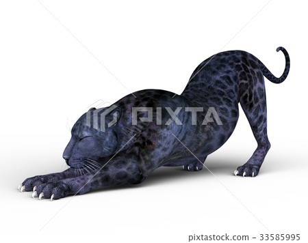 Black leopard Black leopard 33585995