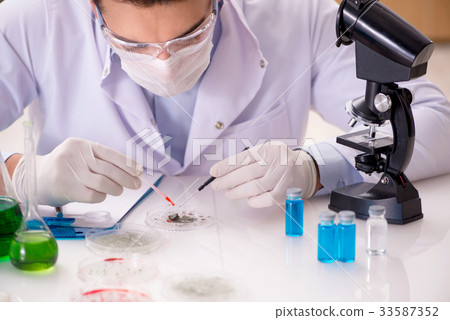 Male doctor working in the lab on virus vaccine Male doctor working in the lab on virus vaccine 33587352