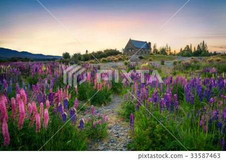 Church of the Good Shepherd, Tekapo, New Zealand 33587463