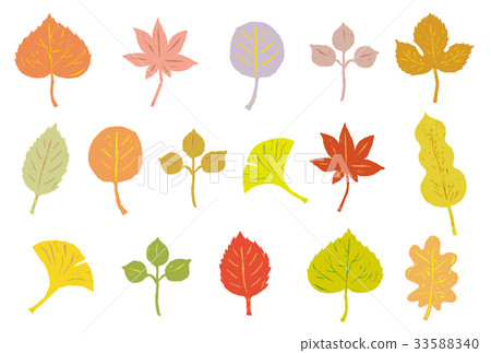 秋天的落葉 33588340
