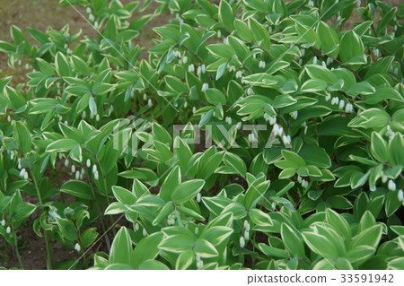 保中蒐集網說：“我不會讓你走” 33591942