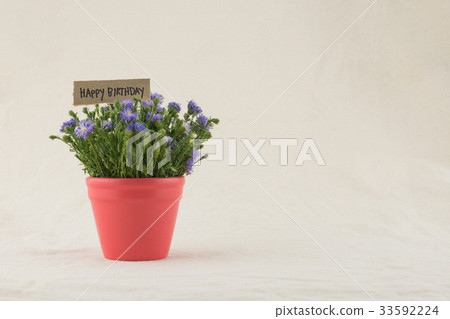 Purple cutter flowers bouquet in red pot 33592224