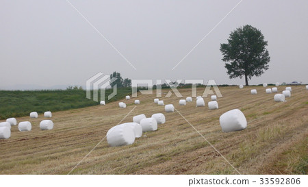 京畿道安城市 33592806