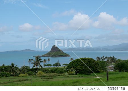 china mens hat in hawaii