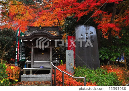 Autumn leaves and Mt. Autumn leaves and Mt. 33595988