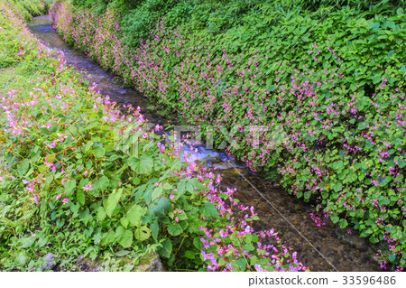 Flow of Shukaido 2 33596486