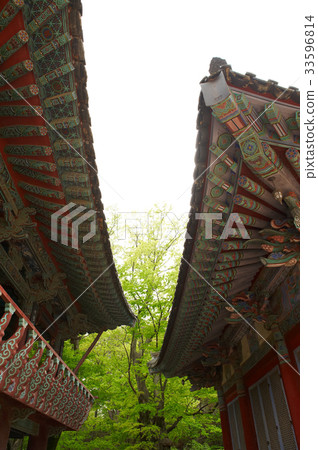 Monchung, Tongdosa, Yangsan, Gyeongnam 33596814