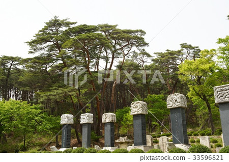 Gifu, Tongdosa, Yangsan, Gyeongnam 33596821