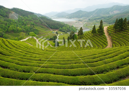 全州寶城郡寶城大道 全州寶城郡寶城大道 33597036