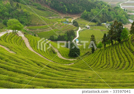 Boseongdaewon, Boseong-gun, Jeonnam 33597041