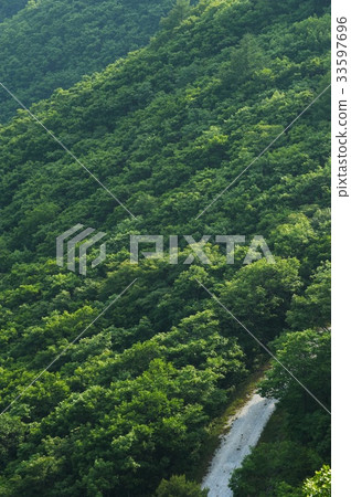 Mountain, Jeongseon-gun, Gangwon-do 33597696