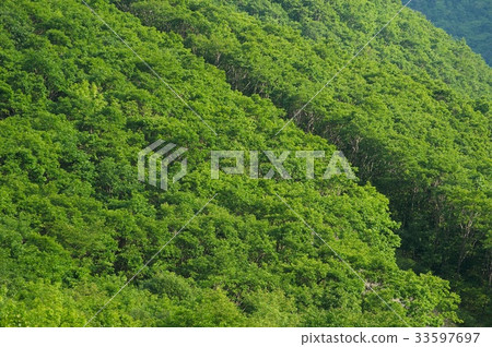 Mountain, Jeongseon-gun, Gangwon-do Mountain, Jeongseon-gun, Gangwon-do 33597697