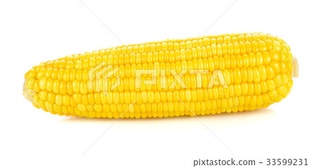 Corn on a white background 33599231