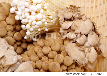 3種蘑菇什錦猴子d 33599648