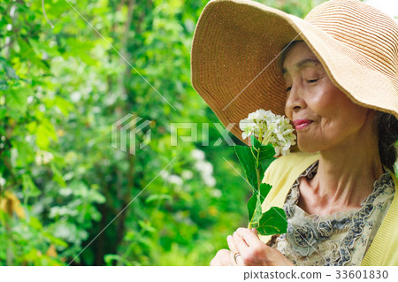 高級花園 33601830