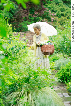 高級花園 33601857