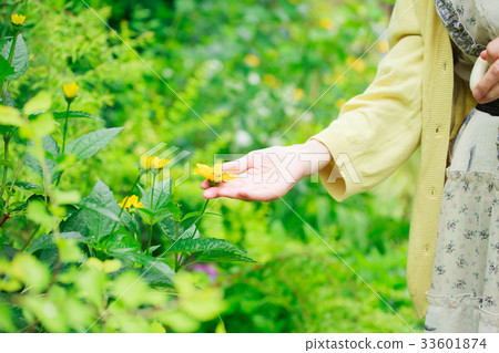 Senior garden Senior garden 33601874