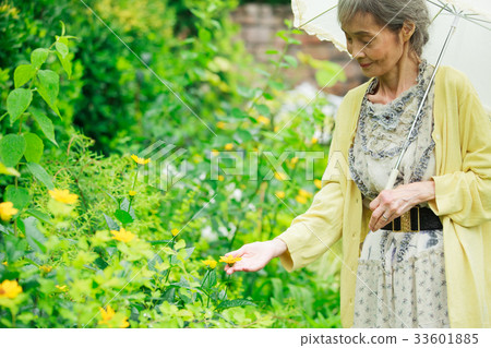 高級花園 33601885