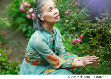 Senior garden Senior garden 33602362