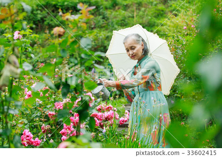 Senior garden 33602415