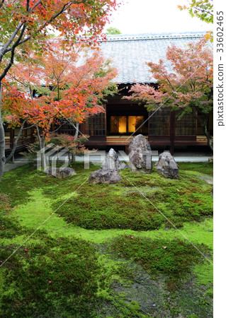 Kyoto Kenden-ji Temple Shionin Garden in Autumn 33602465