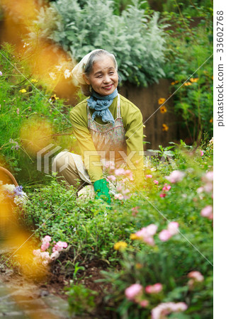 Senior gardening 33602768