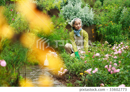Senior gardening 33602773
