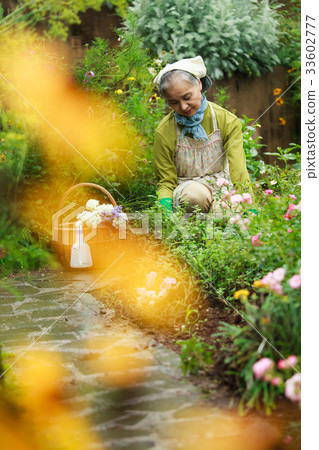 高級園藝 33602777