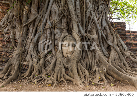 Ayutthaya, a trip around the World Heritage Site, Wat Mahathat, a spectacular view of Asia 33603400