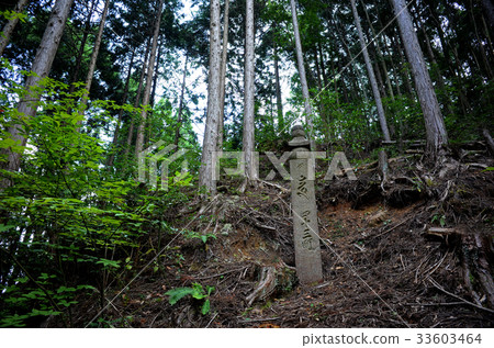 Koya mountain road Shijumachicho stone Koya mountain road Shijumachicho stone 33603464