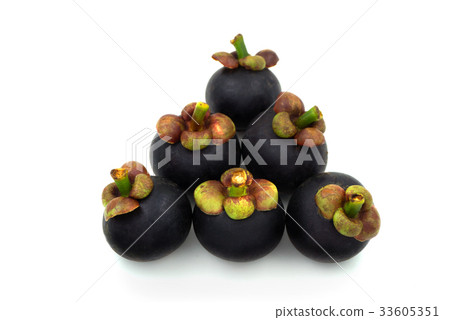 The purple mangosteen (Garcinia mangostana) The purple mangosteen (Garcinia mangostana) 33605351