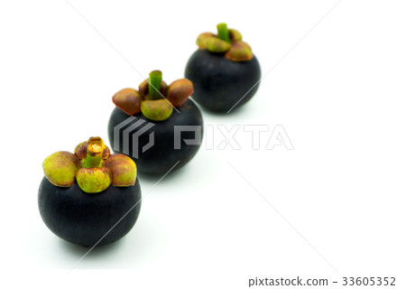 The purple mangosteen (Garcinia mangostana) The purple mangosteen (Garcinia mangostana) 33605352