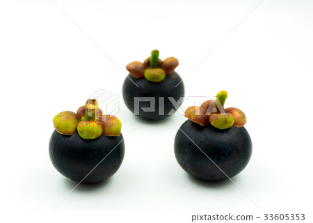 The purple mangosteen (Garcinia mangostana) 33605353