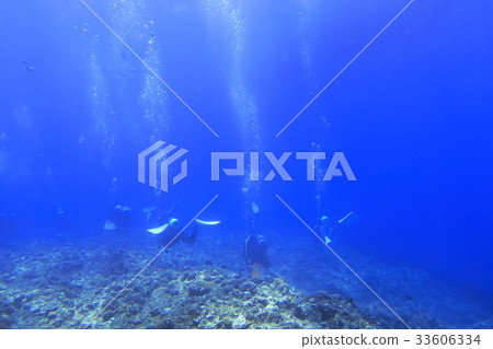 潛水員在宮古島水域游泳 潛水員在宮古島水域游泳 33606334