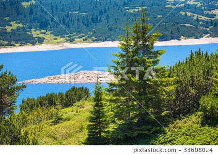 Beautiful Lake and mountains view with pine trees 33608024