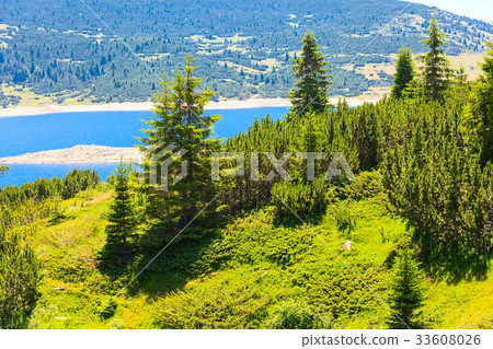 Beautiful Lake and mountains view with pine trees 33608026