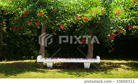 Bench in the park, Jogashima park, Miura, Japan 33608311