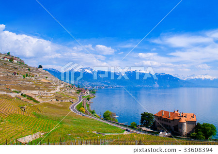 Vineyards and village in Lavaux, Switzerland Vineyards and village in Lavaux, Switzerland 33608394