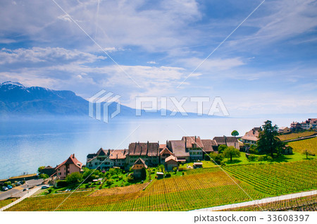 Vineyards and village in Lavaux, Switzerland Vineyards and village in Lavaux, Switzerland 33608397