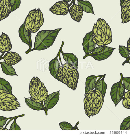 Hop vector seamless pattern - Stock Illustration [33609544] - PIXTA
