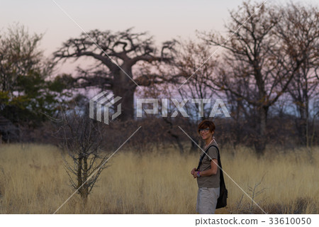 Tourist walking in the bush 33610050