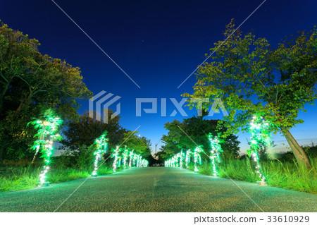 Hirajo Palace ruins Wishes of Alley Hirajo Palace ruins Wishes of Alley 33610929