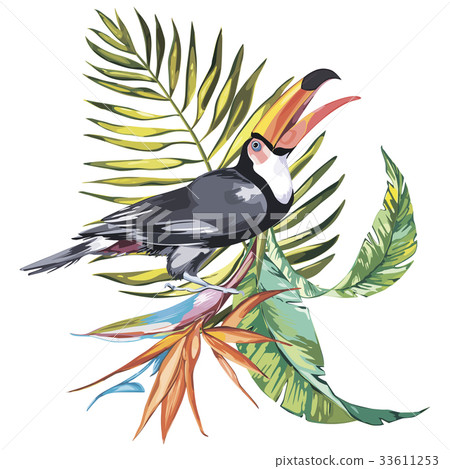 Toucan with tropical flowers strelitzia and leaf 33611253