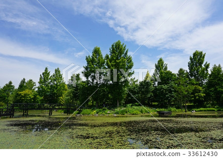 Fresh green Karuizawa lake garden 33612430