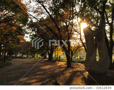  park 33612639