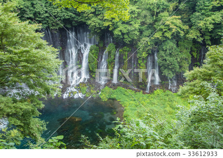 Shiraito waterfall near Mt. Fuji  in Fujinomiya   33612933